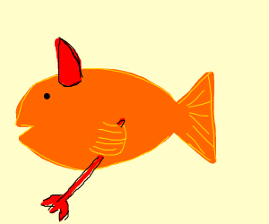 goldfish